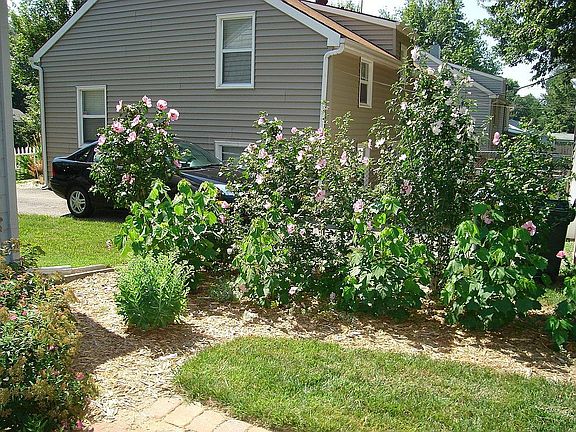 Gardener's Paradise