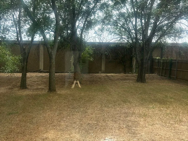7 Shasta Dr — Photo 12