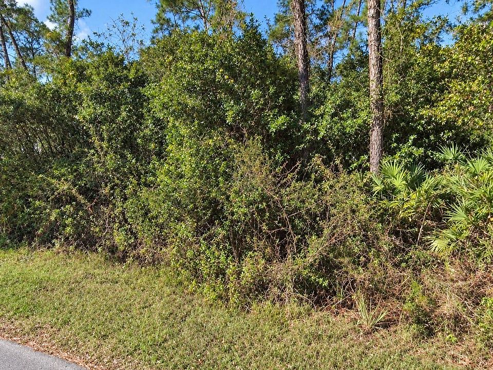 1st image of COON ROAD