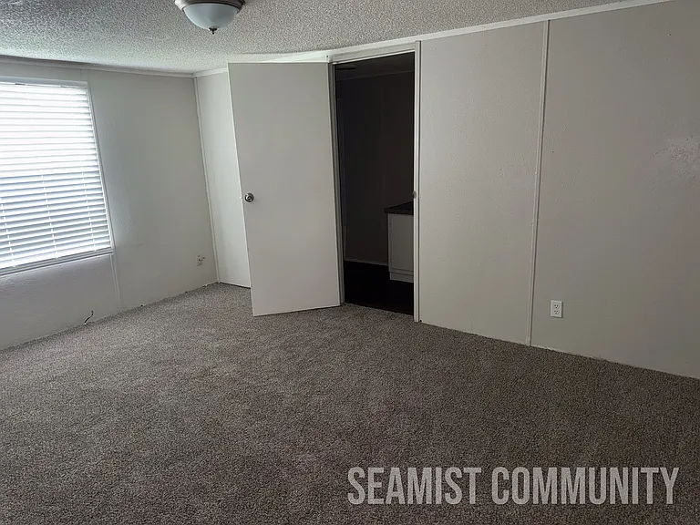 Seamist — Photo 63