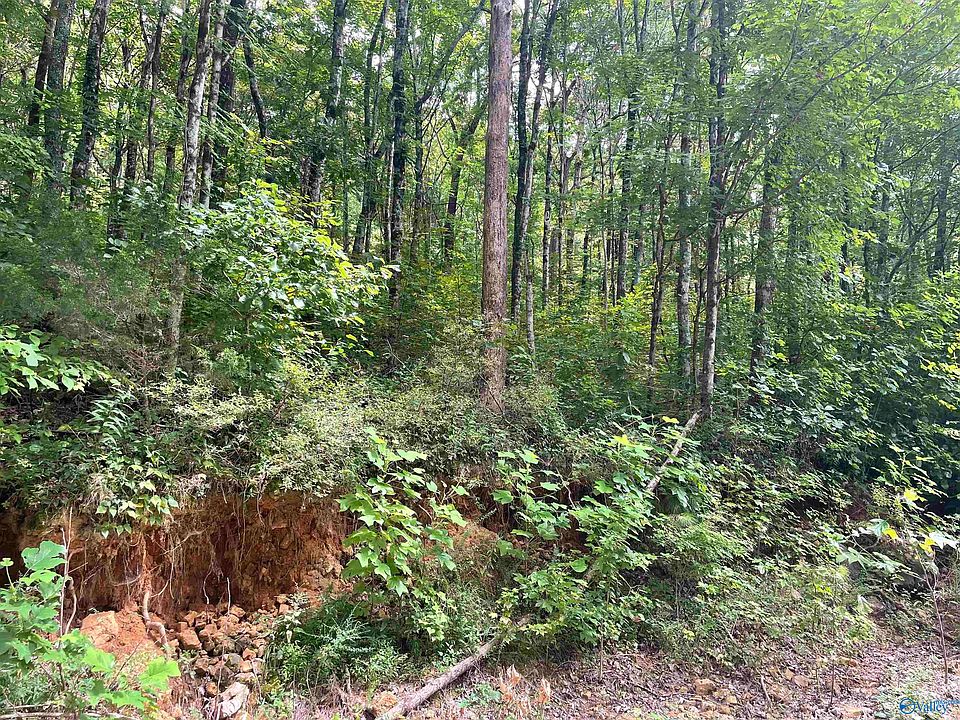 2nd image of LOT 9 Ridge Trl