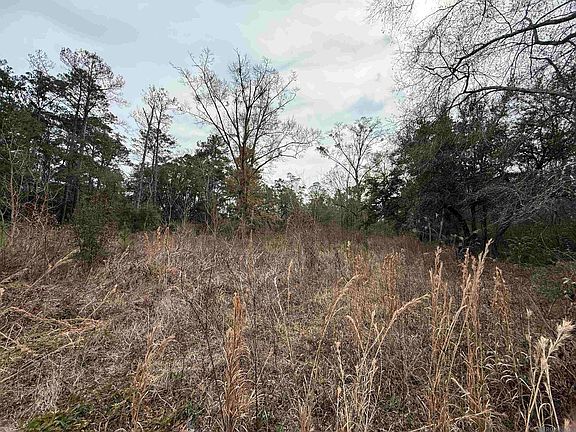 2nd image of 26126 Cloverland Rd