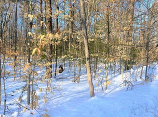 0 Duck Lake Dam Rd, Grawn, MI 49637