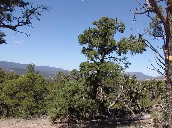 28 Bridger Pass, Datil, NM 87821