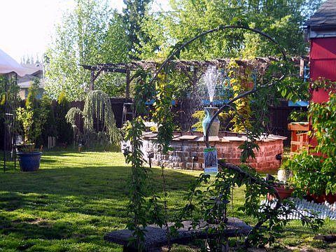 back yard