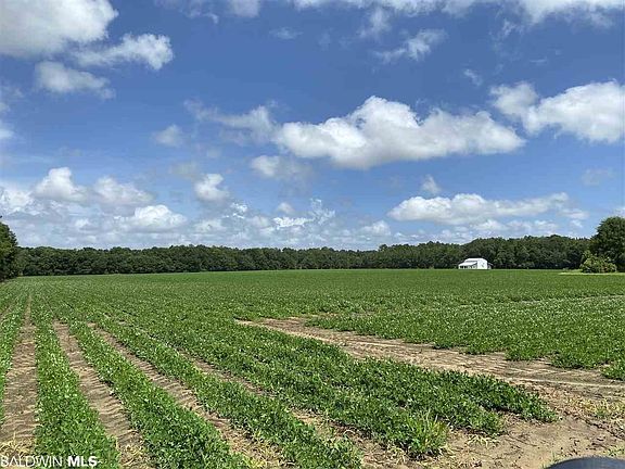 5th image of 19375 County Road 55
