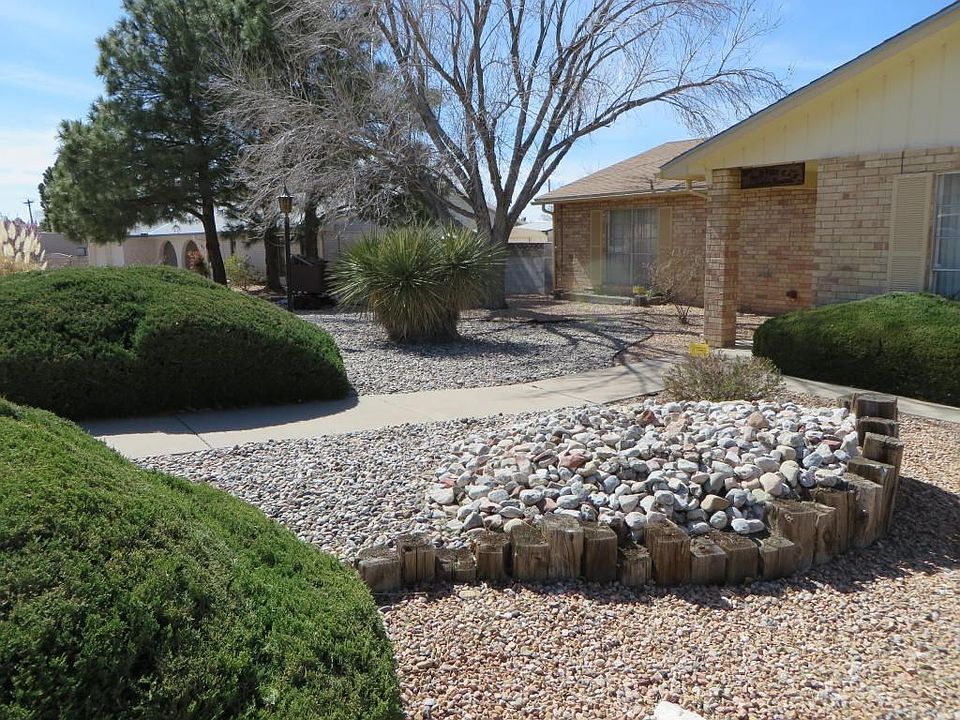 Front Yard - IMG_0275