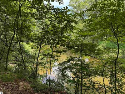 River Run Dr, Mount Pleasant, MI, 48858