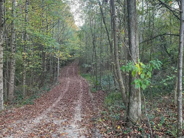 County Road 724, Bryant, AL 35958