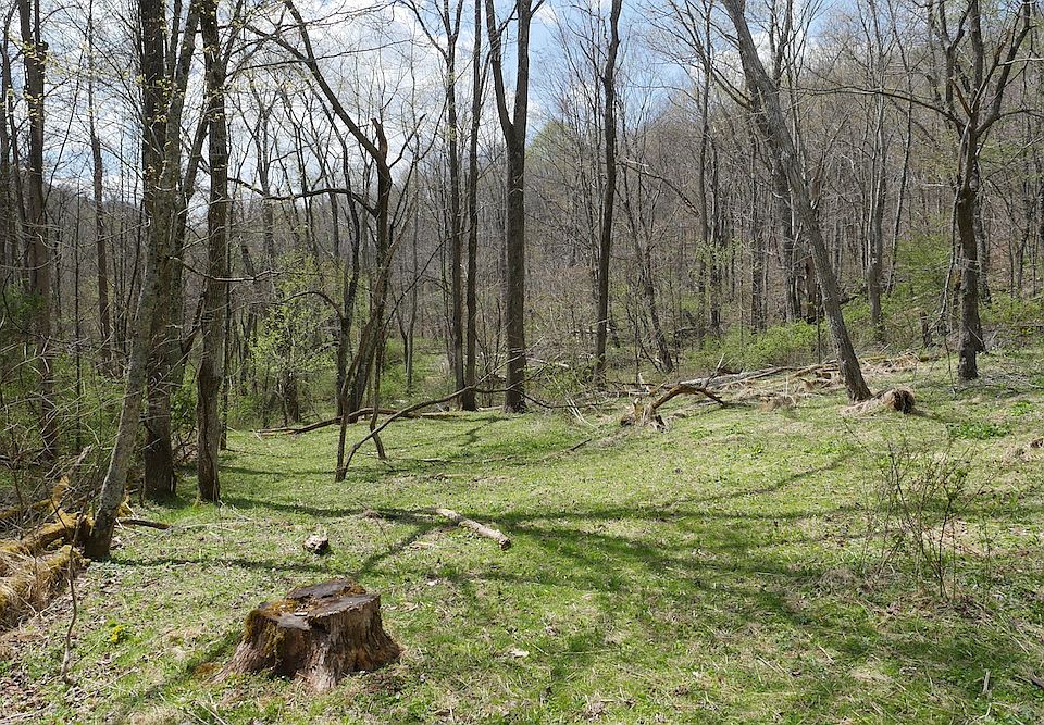 1st image of Unity Rd Lot Wp001