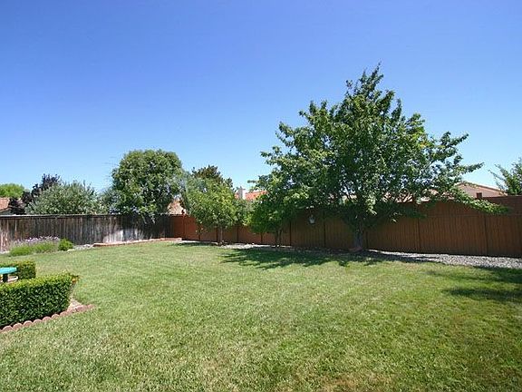new vinyl rear fence,auto timer sprinklers