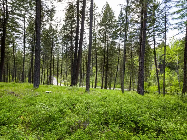 616 Ranch Rd, Bigfork, MT 59911