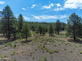 11520 W Beatons East Rd, Bellemont, AZ 86015