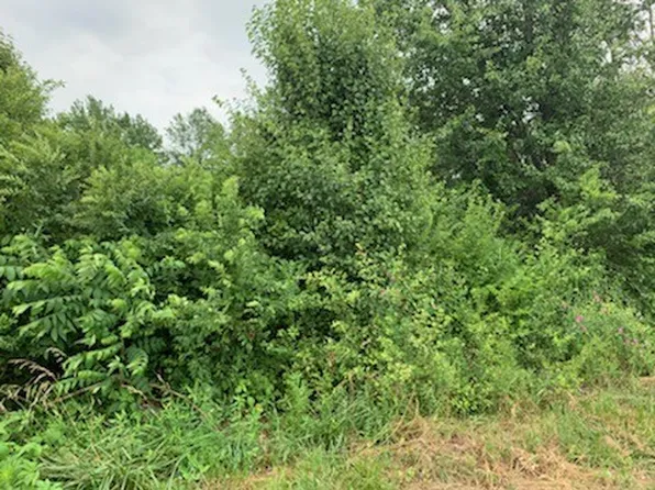 887 Crescent Dr, Cookeville, TN 38501