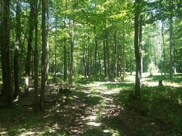 2 Tamblin Ridge Trl #17, Bernhards Bay, NY 13028