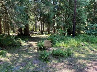 56814 383rd Avenue Ct E, Ashford, WA 98304