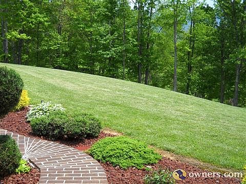 View from Front Porch