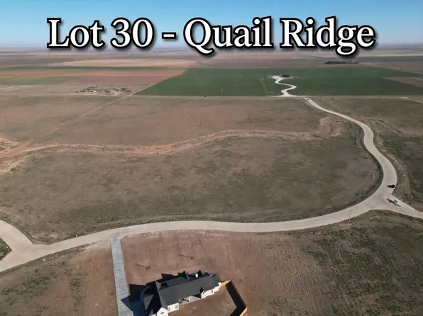 3528 Quail Hollow Rd, Ropesville, TX 79358