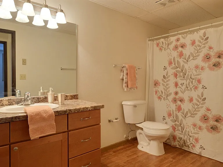 Fargo, ND France Apartments | Bathroom