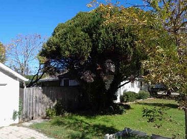 3rd image of 3201 Jane Ln