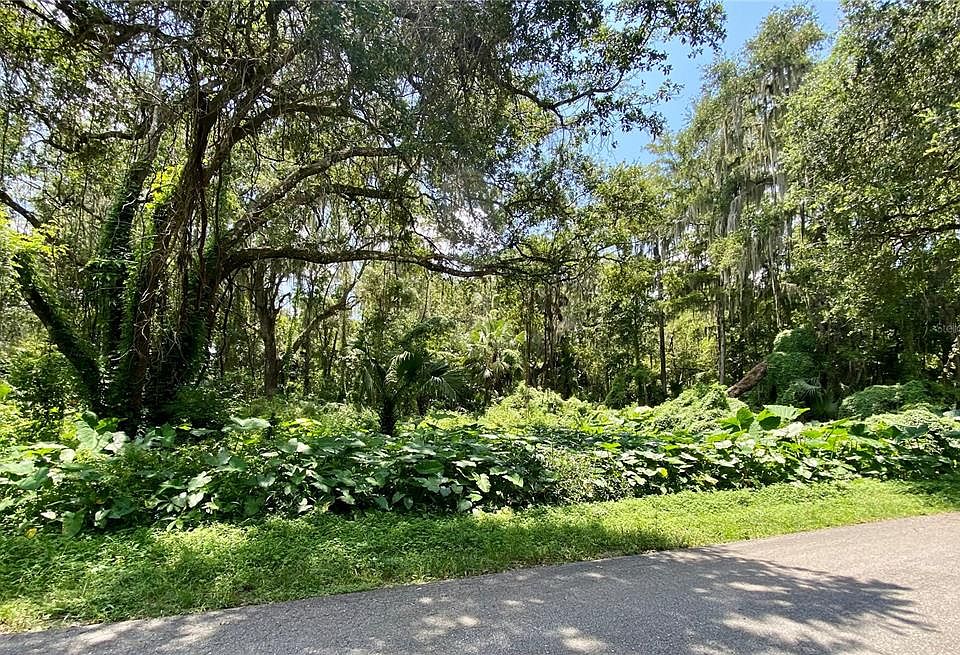1st image of CR 401C LOT 167
