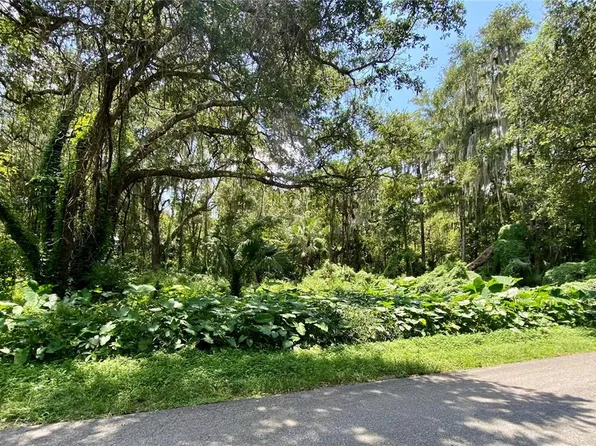 County Road 401c Lot 167, Lake Panasoffkee, FL 33538