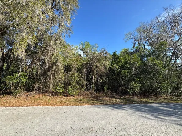 County Road 482c Lot 11, Lake Panasoffkee, FL 33538