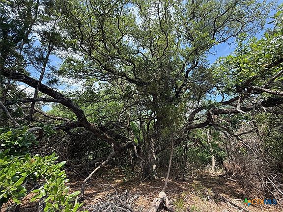 5th image of 46 Juniper Rdg