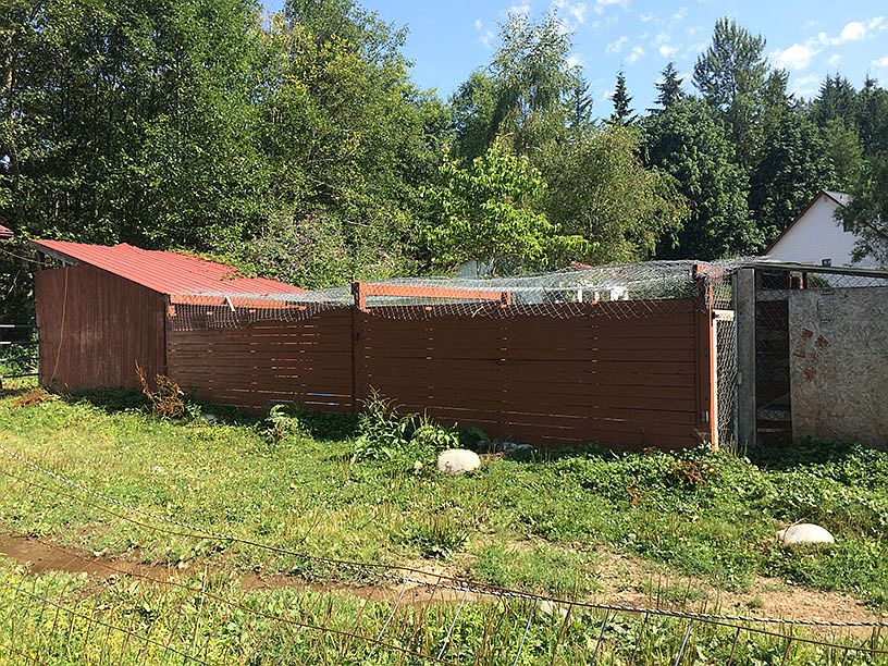 Chicken Coop