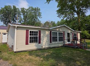 1113 Euclid Ave, Alma, MI 48801