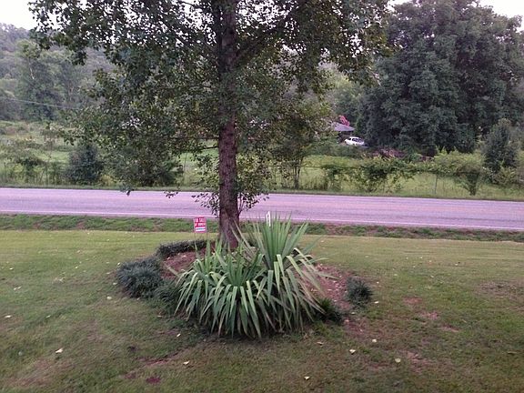 View from Front Porch