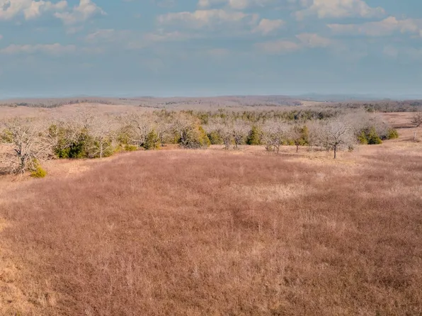 0 County Road 803, Gainesville, MO 65655