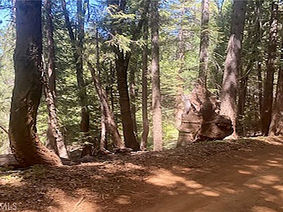 3rd image of 15052 Red Hill Spring Rd #140