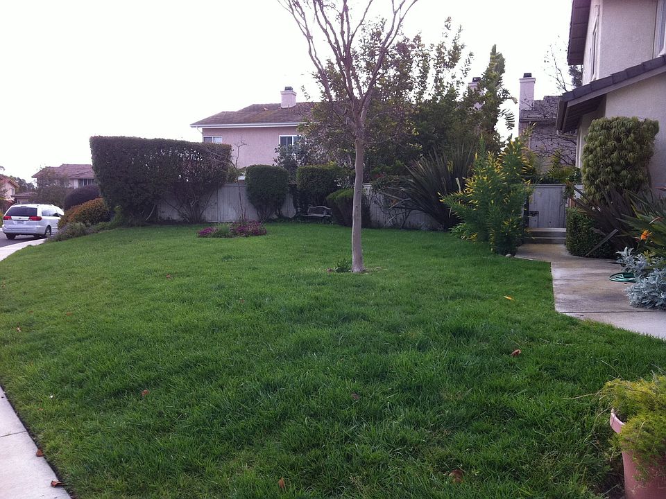 HUGE Yard