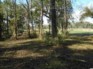 40 Wigeon Dr, Pawleys Island, SC 29585