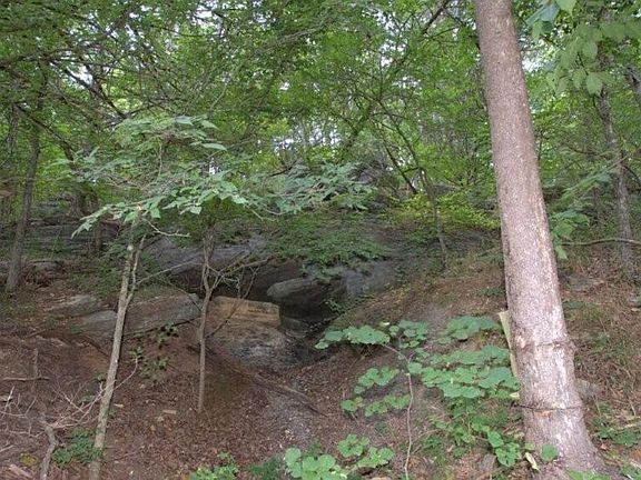 3rd image of 10.75acres Younkers Lane