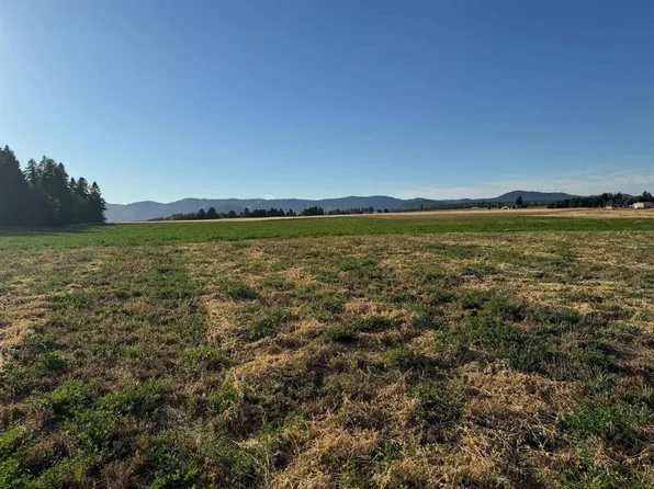 N North Spotted Rd, Deer Park, WA 99006