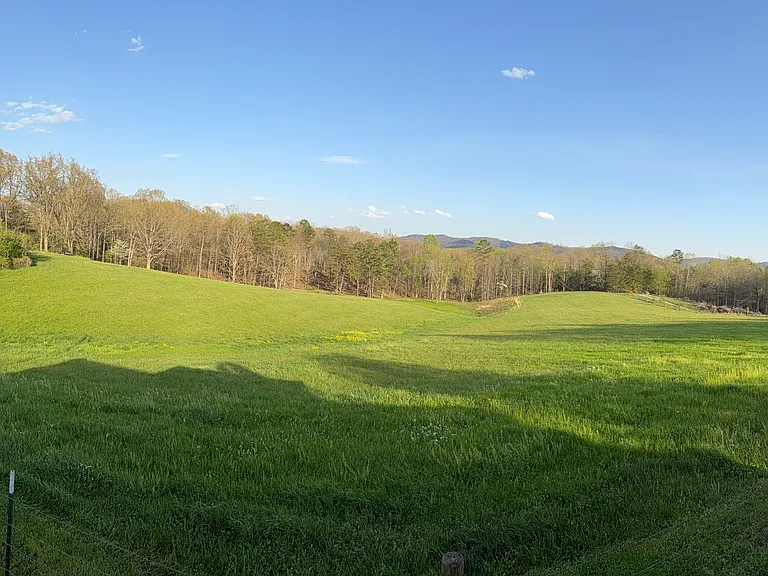 502 Murphy Ridge Rd — Photo 4