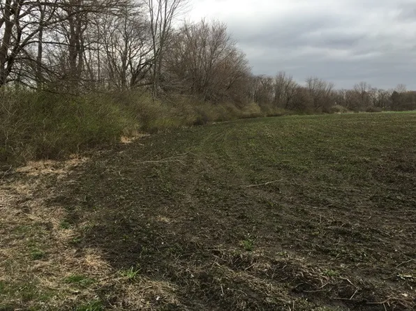 0 Merchants St, Essex, IL 60935