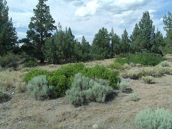 4th image of Lot 260 Sherwood