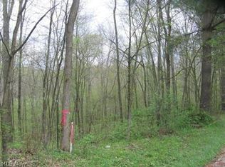 Birmingham Rd, Lore City, OH 43755