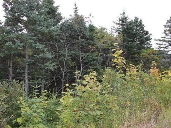 235-241 Beachy Cove Road, Portugal Cove-St. Philip's, NL A1M1Z4