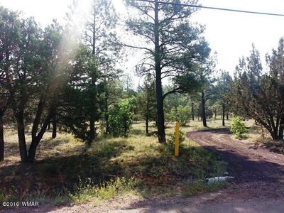 1051 S 11th St, Show Low, AZ, 85901