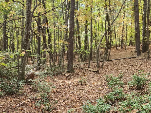 11 Ferrum Forest Ln, Ferrum, VA 24088