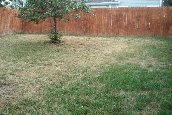 2nd image of 1985 Dove Creek Cir
