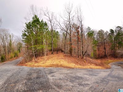 20 Oak Hills Dr, Wedowee, AL, 36278