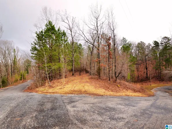 20 Oak Hills Dr, Wedowee, AL 36278