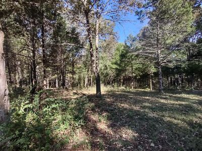 000 State Highway 101, Bakersfield, MO, 65609