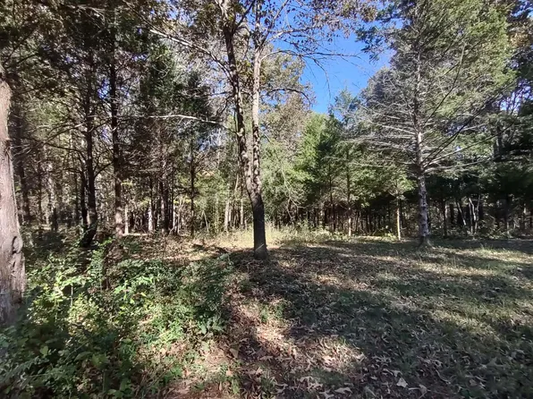 000 State Highway 101, Bakersfield, MO 65609