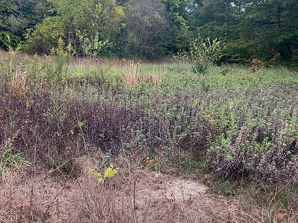 0 Peach Tree St, Jackson, NJ 08527